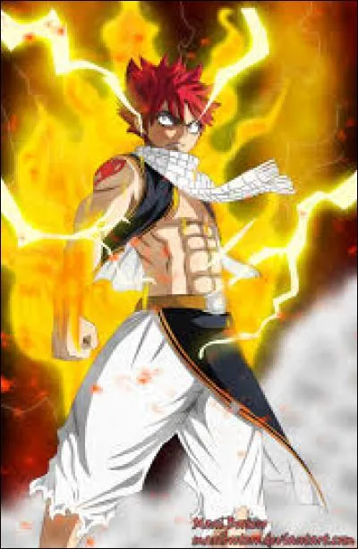 Quelles magies combine Natsu ?