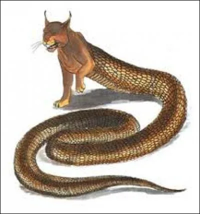 Où vit le Tatzelwurm ?