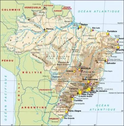 Que sont les favelas ?