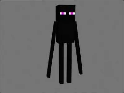 Quelles sont les particularités des Endermen ?
