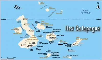 Les espèces qui survivent ne sont pas les plus fortes, ni les plus intelligentes, mais celles qui s'adaptent le mieux aux changements !