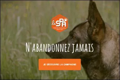 Un chien, un chat, c'est un coeur avec du poil autour !