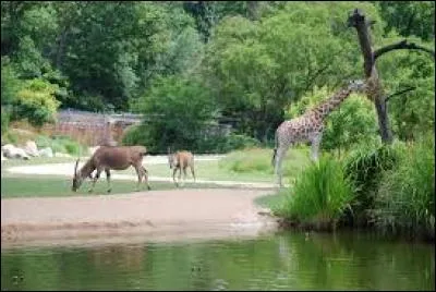 Dans quelle ville se trouve le jardin zoologique du parc de la Tête d'Or ?