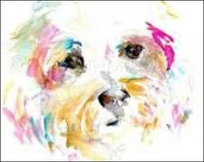 Construction de forme courbe :