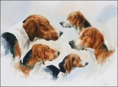 Exprime le manque d'enthousiasme :