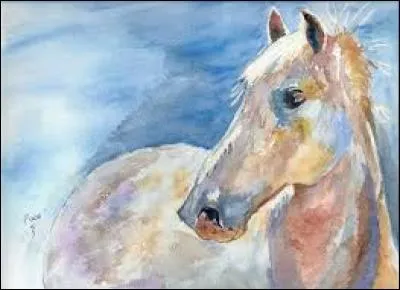 Terre argileuse contenant de l'oxyde de fer qui lui donne une coloration rouge :