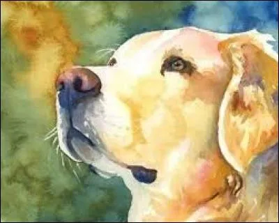 Ticket permettant de recevoir quelque chose :