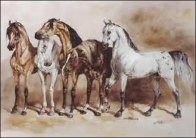 Participe passé du verbe boire :