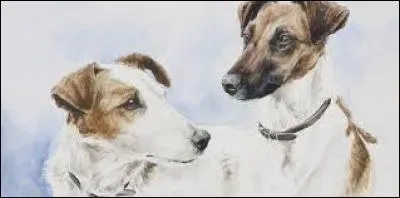 Petit pain au lait de forme arrondie :