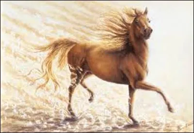 Véhicule de transport en commun routier :