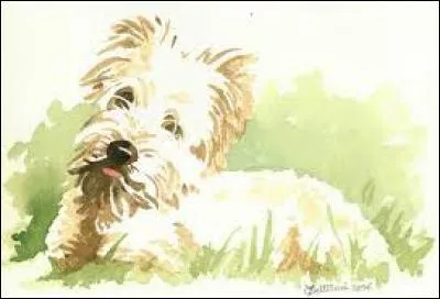 Cri exprimant la douleur :