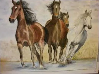 Partie immatérielle de l'homme, opposée au corps :