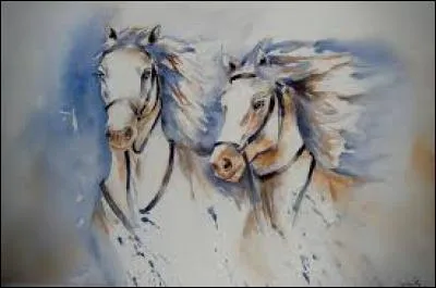 Variété de pomme :