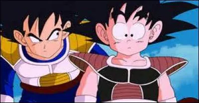 D'où le nom de Gine / ギネ vient-il ?