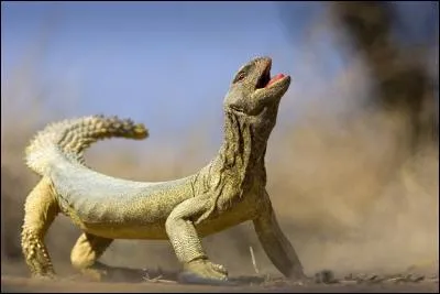 Avide de profit, de gain !