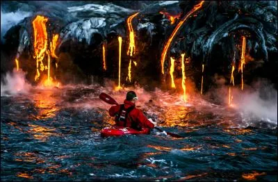 Plante commune, à fleurs verdâtres, utilisée comme laxatif !