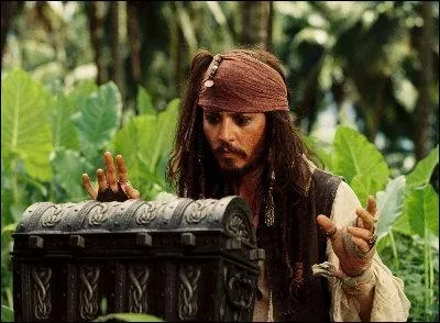 Qui est Barbe Noire ?