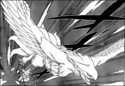 Comment se nomme le dragon de Wendy ?