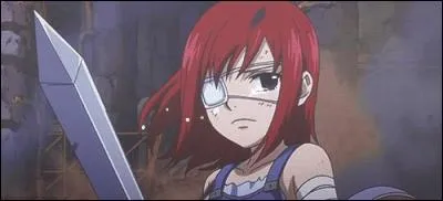 Qui a donné le nom de famille à Erza ?