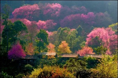 Corée - C'est évident, quand on écrit, on n'utilise pas que le bleu. Pour envoyer des cartes de vux, de félicitations, de remerciements ou d'anniversaire, certains d'entre nous ont tendance à égayer leurs mots en couleurs. Avouez que ça rend la carte plus jolie. Sauf qu'en Corée du Sud, il est interdit d'utiliser un stylo de couleur...