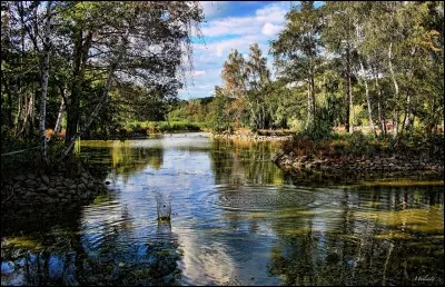 Hongrie - Un conseil, je vous le dis, évitez de trinquer et boire de la bière, c'est mauvais signe. Des tas de personnes innocentes sombrent dans cette folie sans s'en rendre compte jusqu'à en devenir des victimes. Cela rappelle même un mauvais souvenir qui remontent...