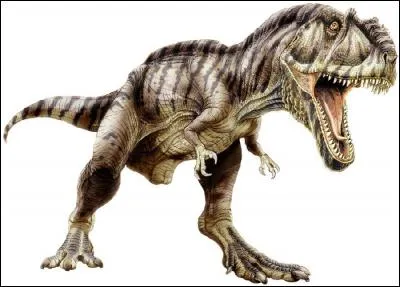 Les Carcharodontosauridés : Tyrannotitan (13m ; 7T)
Carcharodontosaurus (12m ; 6T)
Quel est le plus grand de la famille ?