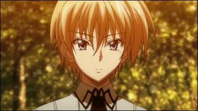 Sur "Highschool DXD" Kiba utiltse quel moyen pour se battre ?