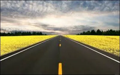 Je suis sur une route, à qui dois-je laisser la priorité ?