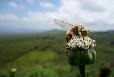Trouvez l'objet ayant un rapport avec la photo !