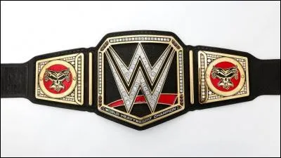 Quel est le nom du catcheur qui a eu le plus de titres de la WWE ?