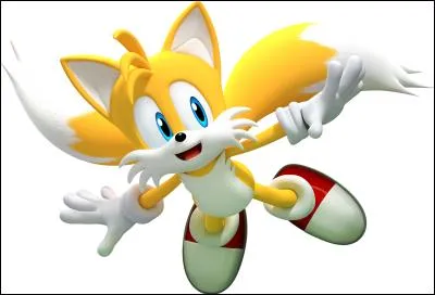 Qui est ce personnage de Sonic ?