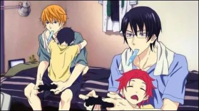 Quelle(s) phrase(s) est/sont la/les bonne(s) pour décrire cette image ?