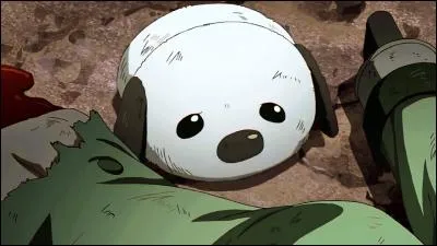 Comment s'appelle cette arme impériale ?