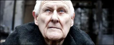 De quelle grande famille Mestre Aemon fait-il partie ?