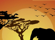 Quiz La faune d'Afrique