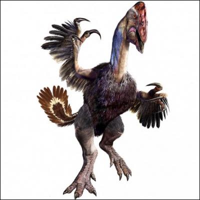 Les Oviraptoridés : Hagryphus : (2.5m ; 75kg) 
Citipati (2.5m ; 75kg)
Quel est le plus grand de la famille ?