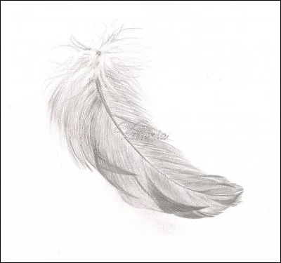 Entre les 3 familles lequel des géants est le plus léger ?