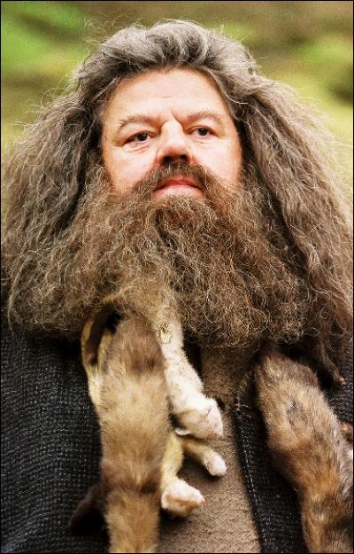 Qui est Rubeus Hagrid ? (2 réponses possibles)