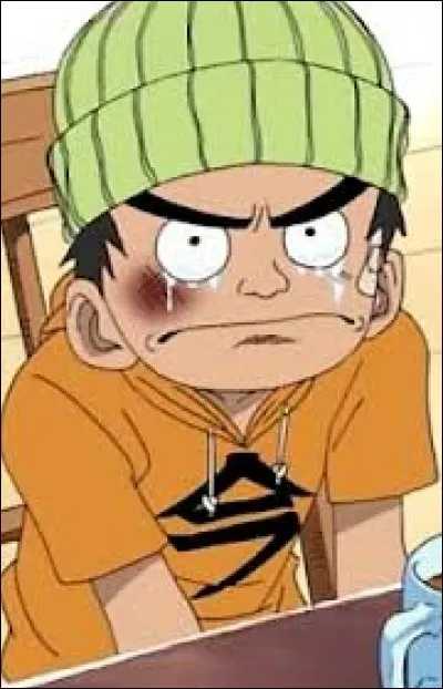 Qui est ce jeune homme et pourquoi veut-il tuer Arlong ?