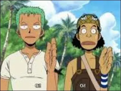 Qu'apprennent Zoro et Usopp ?