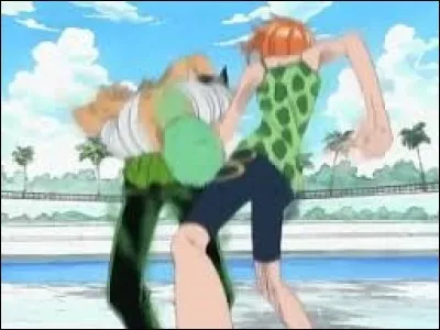 Zorro a compris que Nami n'était pas dans la bande d'Arlong, alors il a sauté dans l'eau pour voir si Nami le repêcherait.