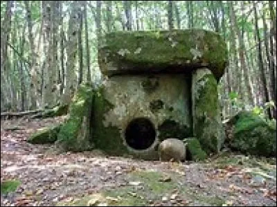 Quel est le nom de l'&icirc;le de Bretagne o&ugrave; vivent les h&eacute;ros de Dolmen ?