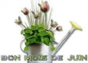 Quiz Vive le mois de juin !