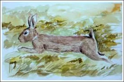 Au golf, score permettant de se qualifier :