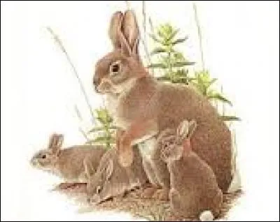 Contraire de "cuit" :