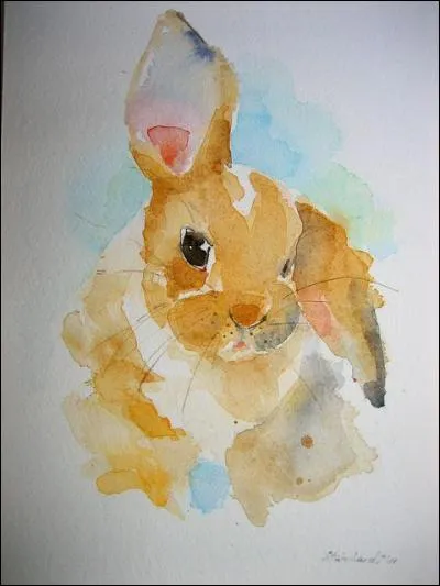 Chanvre de Guinée :