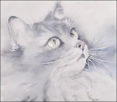 Autrefois, maître, patron :