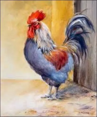 Sports. Luge à plusieurs places utilisée pour des descentes sportives sur piste de glace :