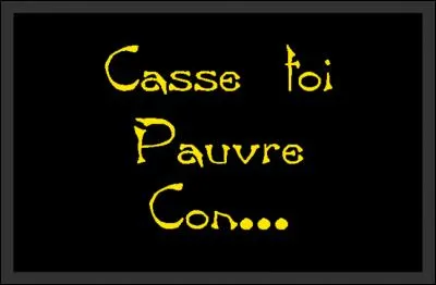 Quel président a prononcé cette phase : « Casse-toi, pauv' con ! » ?