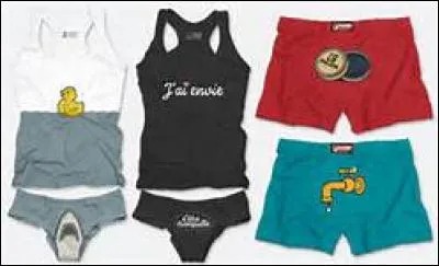 Lequel de ces mots désigne les sous-vêtements ?